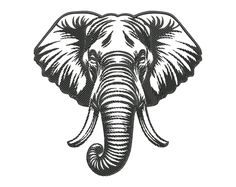 an elephant's head is shown in black and white