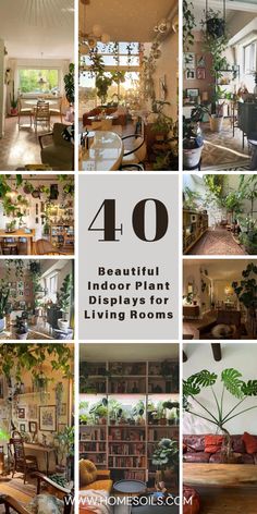 the top ten beautiful indoor plant living rooms