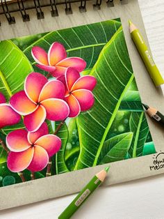 a drawing of pink flowers and green leaves on a piece of paper with colored pencils next to it