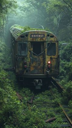 an old abandoned train in the middle of some trees and bushes, with its lights on