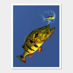 a large mouthed fish catching a lure on a hook in the water with a blue sky background