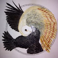 two black birds with yellow wings are in a circular design on a white wall,