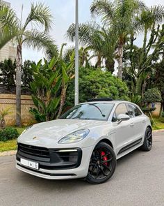 a white porsche cayen is parked in front of some trees and palm trees on the street