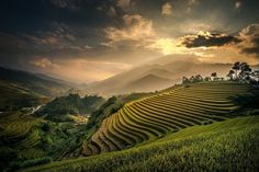 the sun shines brightly through the clouds over terraced rice fields