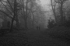 two people walking down a dirt road in the foggy woods on a gloomy day