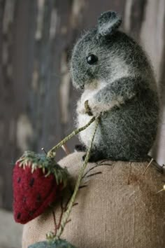 a stuffed animal with a strawberry on it's back sitting on a piece of cloth