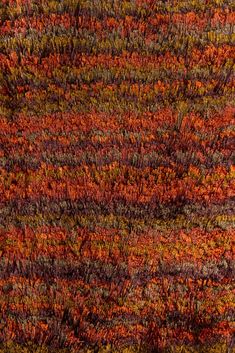 an area rug with many different colors and patterns on the carpet, including red, orange, green, yellow and brown