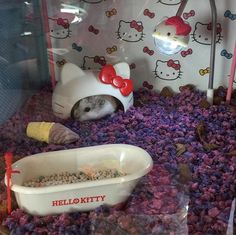 a hello kitty hamster is in its cage