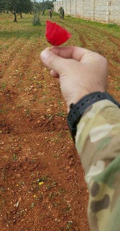 a hand holding a small red flower in the middle of a dirt field with grass and trees