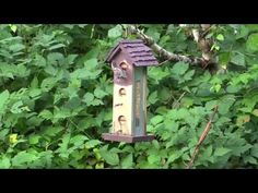 a bird house hanging from the side of a tree