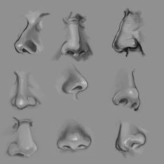 a bunch of different types of nose shapes