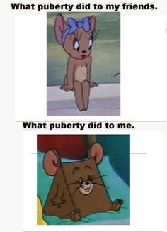 two cartoon pictures with the same caption for what pubby did to my friends