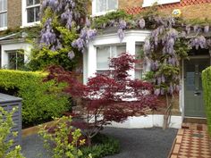 a house with purple flowers growing on it's side and trees in the front yard