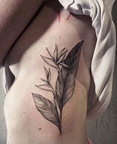 a woman's stomach with a leaf tattoo on it