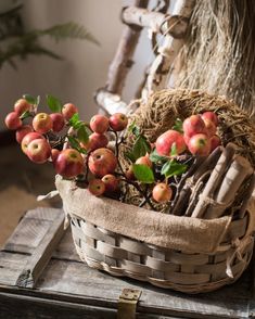 a basket filled with apples sitting on top of a wooden table next to a tree