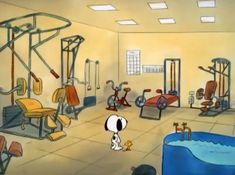 a room filled with lots of exercise equipment and a dog standing in the middle of it