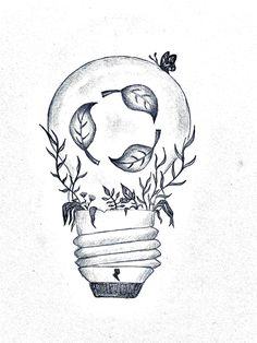 a drawing of a light bulb with plants growing out of it