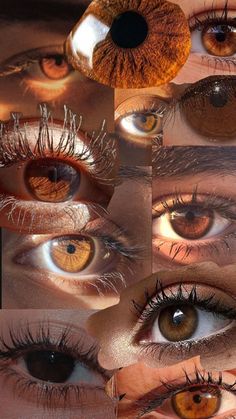 Pretty Eyes Color, Brown Eyes Aesthetic, Beautiful Eyes Color, Pretty Brown Eyes, Image Swag, Best Eyeshadow, Aesthetic Eyes, Eyeshadow Palettes, Unique Features