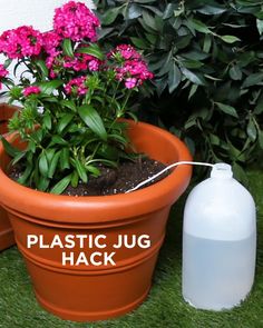 there is a plastic jug attached to a planter with flowers in it and the words plastic jug hack