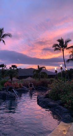 a person is swimming in a pool at sunset with palm trees and flowers around it