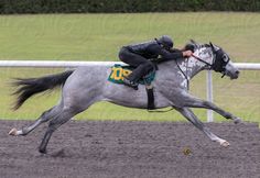 a man riding on the back of a gray horse