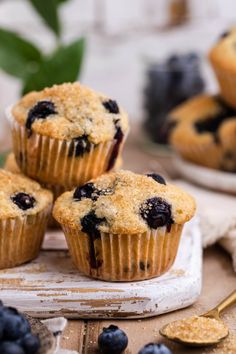 blueberry muffins on a white plate with fresh blueberries