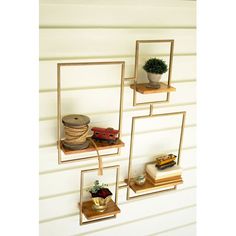 three wooden shelves with plants and other items on them