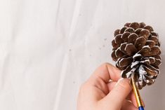 a person is holding a pine cone with a crochet hook