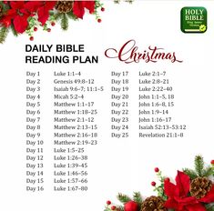 the daily bible christmas reading plan with holly wreaths and poinsettius on it