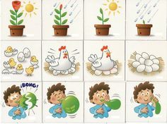 a series of cartoon images depicting different stages of growing flowers and plants in pots with chickens