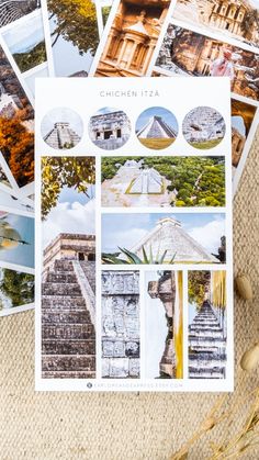 a bunch of pictures sitting on top of a table next to some plants and nuts