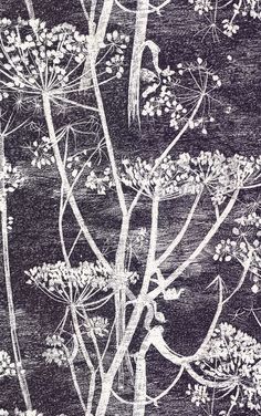 a drawing of some white flowers on a black background