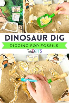 the dinosaur dig digging for fossils is fun and easy