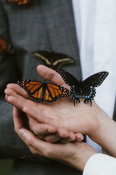 two people holding butterflies in their hands