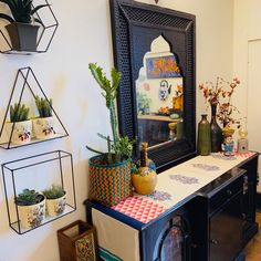 a living room filled with lots of plants next to a wall mounted mirror on the wall