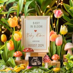 a baby in bloom photo frame surrounded by flowers and mushrooms