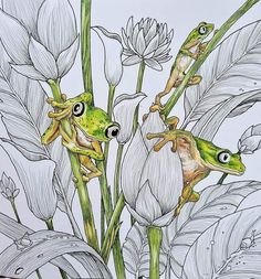 two green frogs sitting on top of flowers