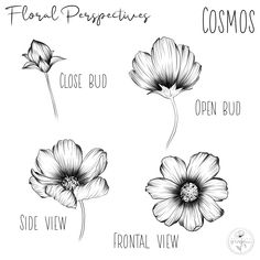 four flowers that are drawn in black and white, with the words floral properties on them