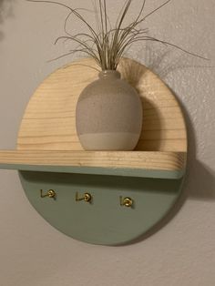 a potted plant sitting on top of a wooden shelf next to two coat hooks