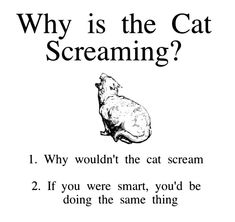 a black and white poster with the words, why is the cat screaming? 1 why wouldn't the cat scream? 2 if you were smart, you'd be doing the same thing