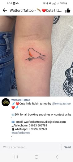 a small bird tattoo on the left side of the arm, with an arrow in the middle