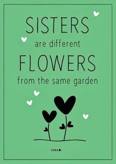 the quote for sisters are different flowers from the same garden, with hearts flying in the air