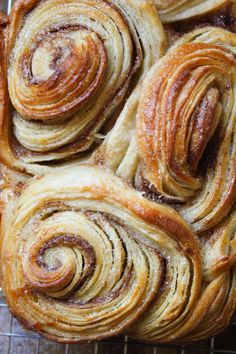 cinnamon rolls on a cooling rack ready to be baked