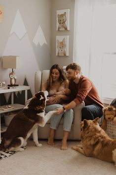 a man and woman sitting on a couch with two dogs in front of the window