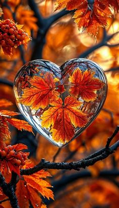 a heart shaped glass sitting on top of a tree branch with autumn leaves in the background