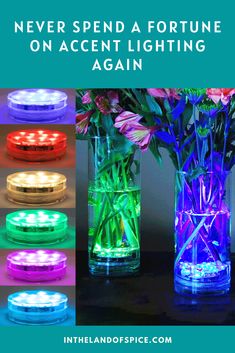 four different colored lights in vases with flowers inside and the words never spend a fortune on accent lighting again