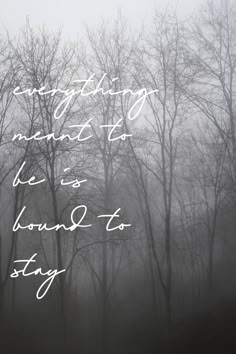 the words are written in white on a foggy background with trees and bushes behind it