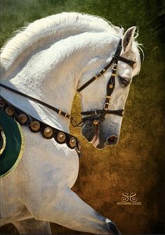 a white horse wearing a green and gold bridle on it's back