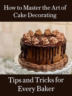 Whether you’re a seasoned baker, a mom aiming to create the perfect DIY birthday cake, or someone who just loves making desserts look pretty, you’re in the right place. Cake decorating can transform a simple baked good into a stunning work of art, and mastering the icing is a key step in that transformation. So, let’s dive into some essential cake icing tips and tricks that will amp up your decorating skills and help you craft those cake masterpieces you’ve been dreaming of.Tips and Tricks for E Cake Decorating Tips And Tricks, Welcome Cake, Cake Icing Tips, Decorating Tips And Tricks, Making Desserts, Royal Icing Flowers, Diy Birthday Cake, Icing Tips, 21st Birthday Cake