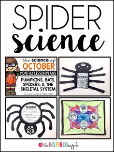 spider science project with pictures and text on it